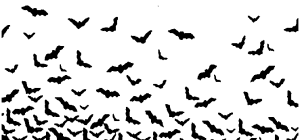 bats